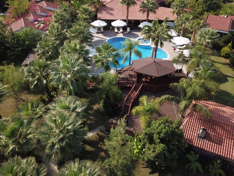 Bird's eye view, Balcony/Terrace