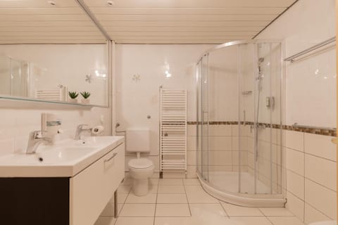 Shower, Toilet, Bathroom, towels