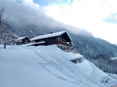 Winter, View (from property/room)