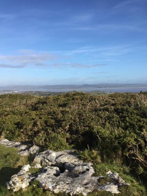 2 leather lane House in England