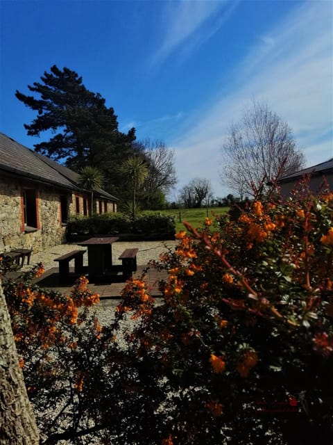 Property building, Patio, Garden