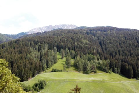 Schweinsteghof Urlaub auf dem Bauernhof Apartment in Trentino-South Tyrol