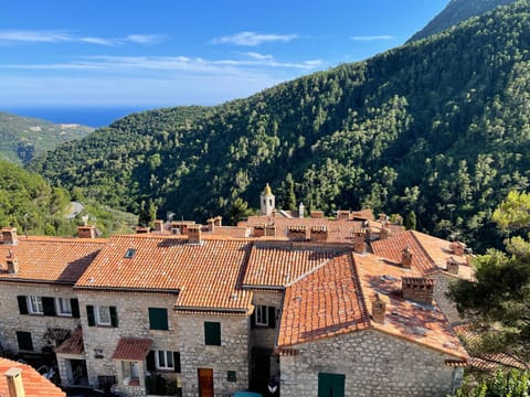 Castillon - Maritime Alpes Apartment in Provence-Alpes-Côte d'Azur