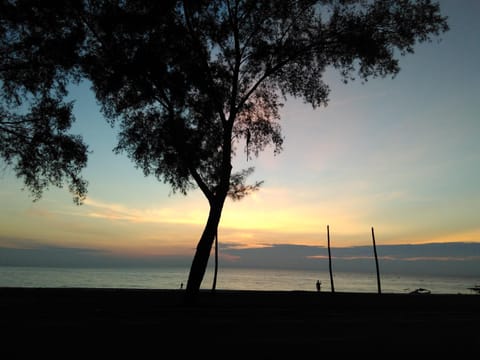 Natural landscape, Beach, Sea view, Sunrise