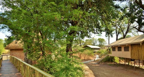 Lobby or reception, Garden view