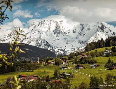Chalet Alpen Valley, Mont-Blanc Hotel in Combloux