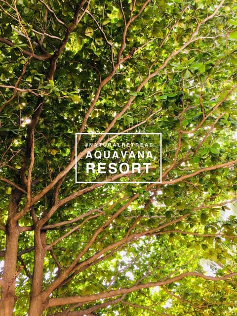 Aquavana Haad Rin Resort Resort in Ban Tai