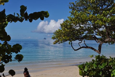 Day, Natural landscape, Beach