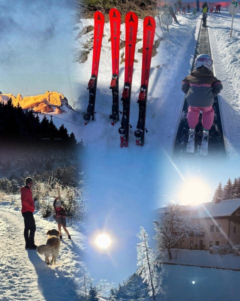 Natural landscape, Winter, Skiing