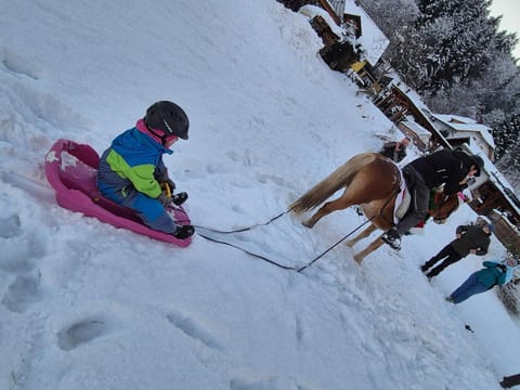 Winter, Horse-riding, children