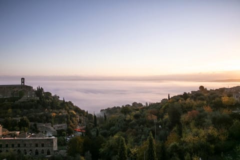 Tuscany View Montalcino Übernachtung mit Frühstück in Montalcino