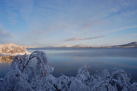 Natural landscape, Winter, View (from property/room)