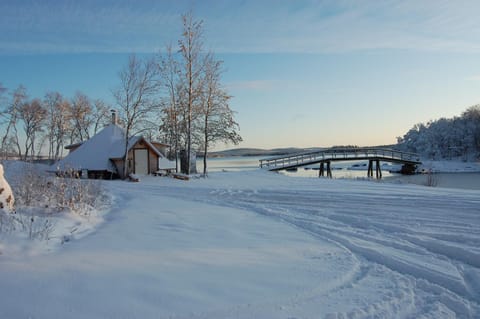 Natural landscape, Winter