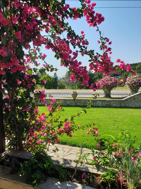 Garden, Balcony/Terrace