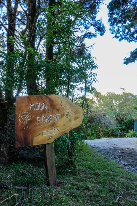 Moon Forest Apartments Capanno nella natura in Monteverde