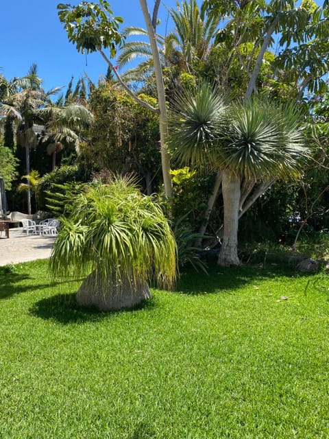 Taburiente House in La Palma