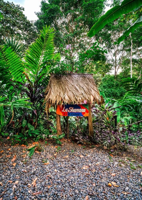 La Shamana - Ecological Concept in Jungle Nature lodge in Panama