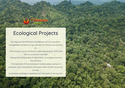La Shamana - Ecological Concept in Jungle Albergue natural in Panama