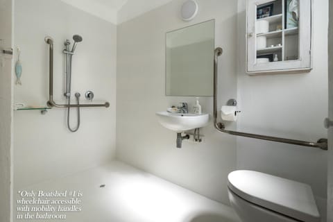 Shower, Toilet, Bathroom, acessibility