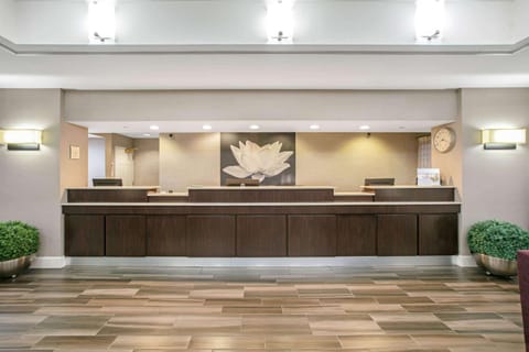 Lobby or reception, On site