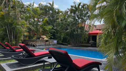 Day, Garden view, Pool view, Swimming pool