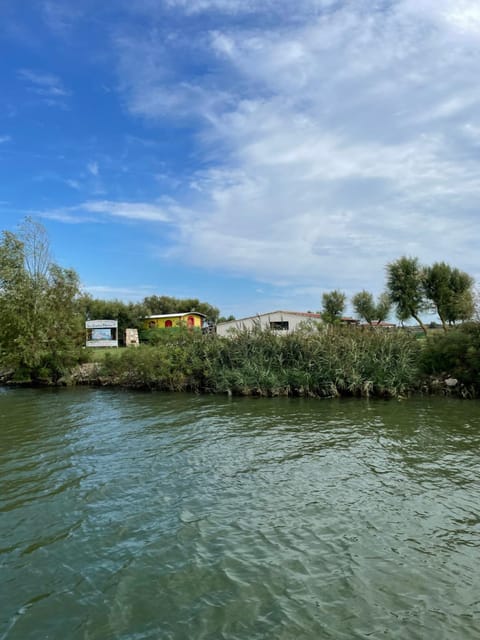 Mas de la Montille Chambre d’hôte in Aigues-Mortes