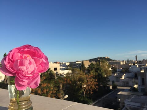 Patio, Balcony/Terrace, City view, Garden view, Mountain view, Quiet street view