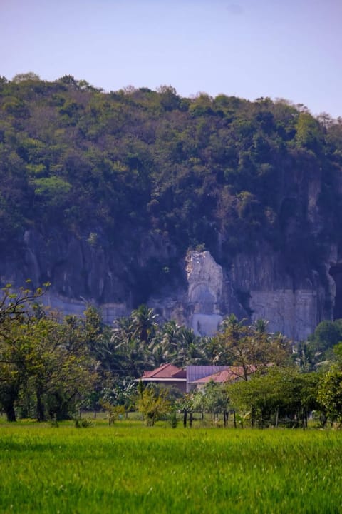 Family Batcave Homestay Vacation rental in Cambodia