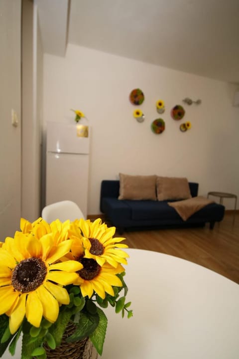 SunRise studio Apartment in Timisoara