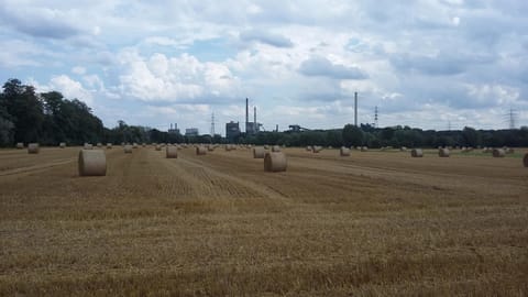 Glück Auf! Urlaub und Erholung in Duisburg Appartement in Duisburg