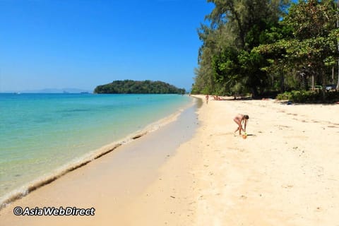 At Seacondo-1 Bedroom-A25 Apartment in Krabi Changwat