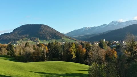 Natural landscape, Autumn, On site