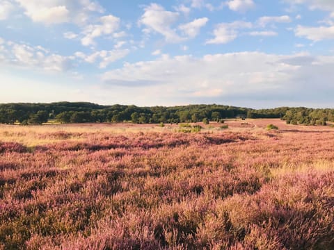 Natural landscape, Hiking