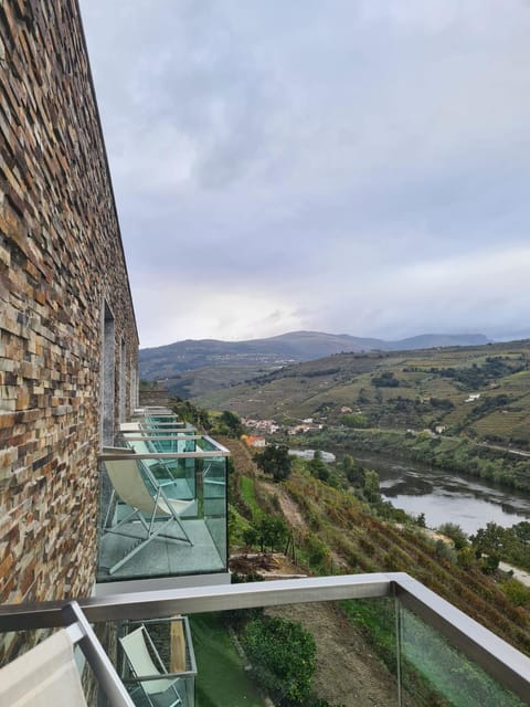 Delfim Douro Hotel Hotel in Vila Real District