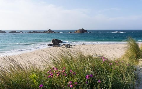 Natural landscape, Beach