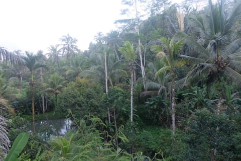 Gunung Kawi House Capanno nella natura in Tampaksiring