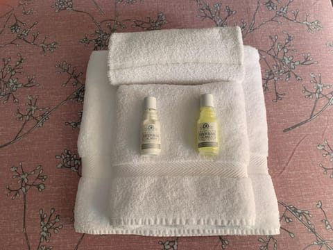 Kentia Rooms Vacation rental in Malaga