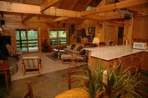Silver Ridge Resort Natur-Lodge in Arkansas
