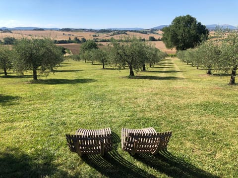 Day, Natural landscape, Garden view