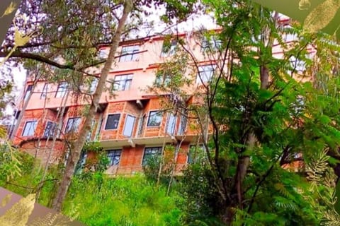 Property building, Day, Garden, Garden view