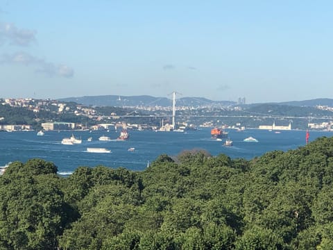 Nearby landmark, Natural landscape, Sea view