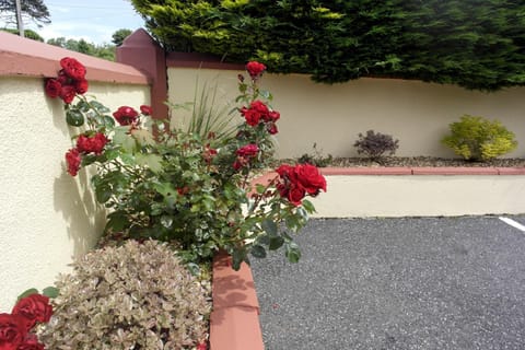 Seacourt Accommodation Tramore - Adult Only Bed and Breakfast in Tramore