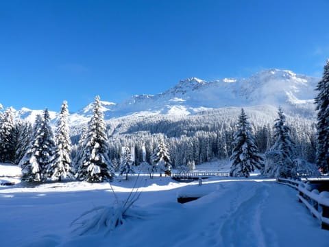 Natural landscape, Winter