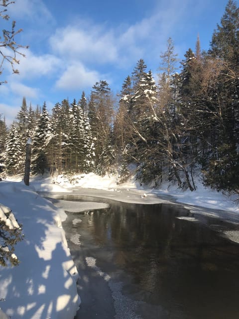 Chalet Le Semeur Bed and breakfast in Shawinigan