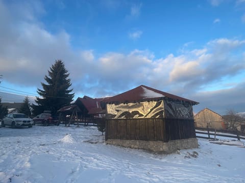 Cabana Fundata Nature lodge in Brașov County