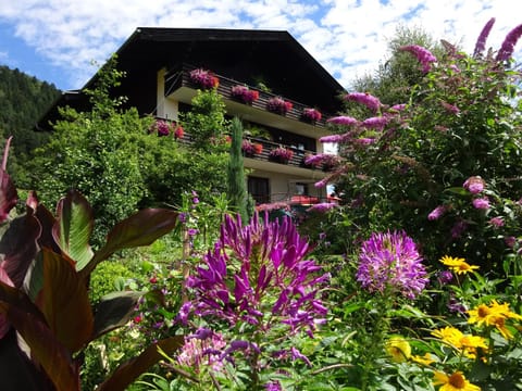 Landhaus Bonaventura Apartment in Spittal an der Drau