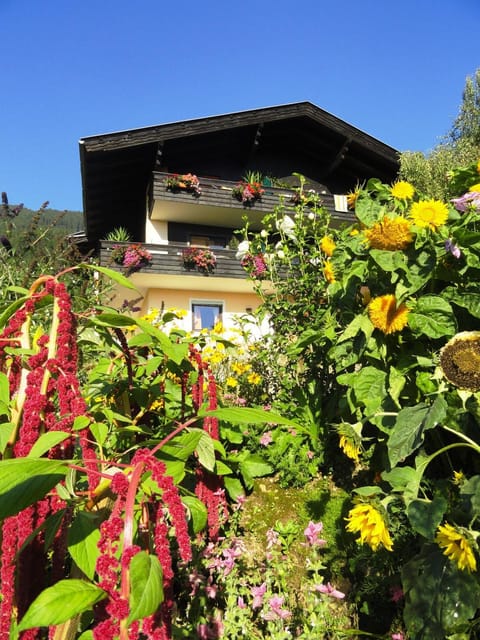 Landhaus Bonaventura Apartment in Spittal an der Drau