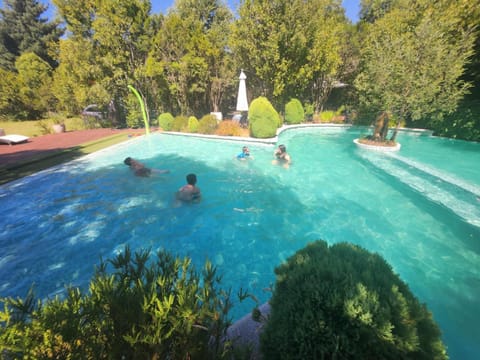 Natural landscape, Pool view, Swimming pool