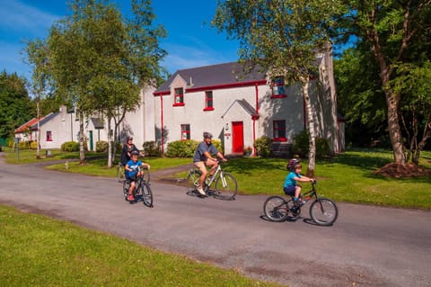 Property building, Cycling, group of guests