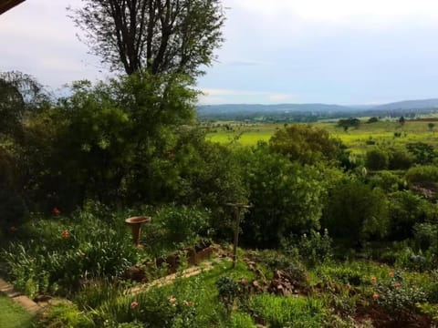 Tree Tops Guest Farm Copropriété in Pretoria